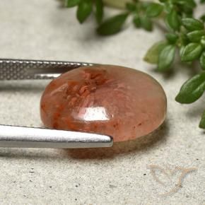 Coral Multicolorido Natural 7.91ct, oval, Translúcido