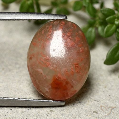 6.66ct Natural Multicolorido Coral, oval, Translúcido