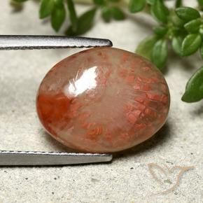 Coral Multicolorido Natural 6.66ct, oval, Translúcido