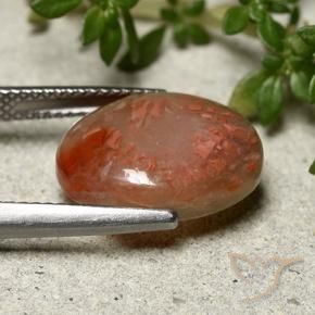 Coral Multicolorido Natural 6.66ct, oval, Translúcido