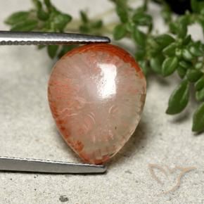 Coral Multicolorido Natural 7.31ct, Formato de pêra, Translúcido