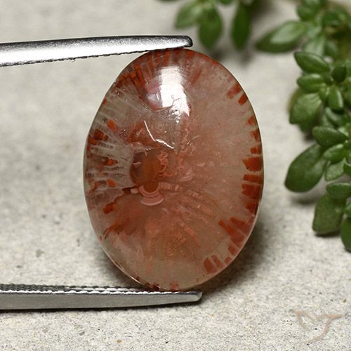 10.04ct Natural Multicolorido Coral, oval, Translúcido