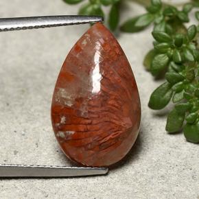 Coral multicolorido natural 8,19ct, formato de pêra, opaco