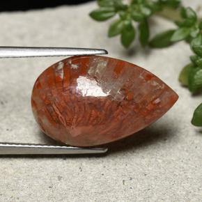 Coral multicolorido natural 8,19ct, formato de pêra, opaco