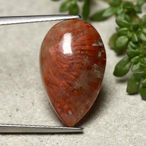 Coral multicolorido natural 8,19ct, formato de pêra, opaco