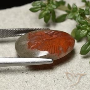 Coral Multicolorido Natural 8.92ct, Chique, Opaco
