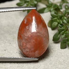 Coral multicolorido natural 7,73ct, formato de pêra, opaco