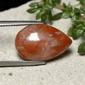 Coral multicolorido natural 7,73ct, formato de pêra, opaco
