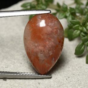 Coral multicolorido natural 7,73ct, formato de pêra, opaco
