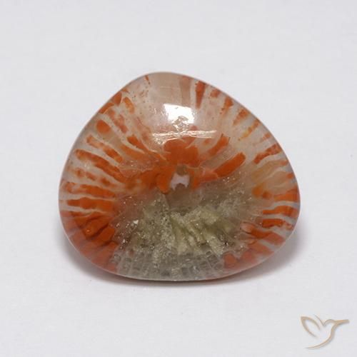 Coral Multicolorido Natural 7.59ct, Chique, Translúcido