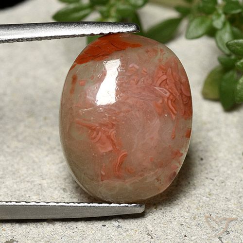 6.86ct Natural Multicolorido Coral, oval, Translúcido