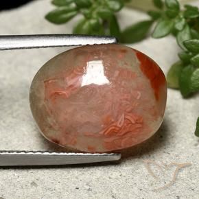 Coral Multicolorido Natural 6.86ct, oval, Translúcido