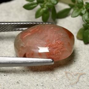 Coral Multicolorido Natural 6.86ct, oval, Translúcido