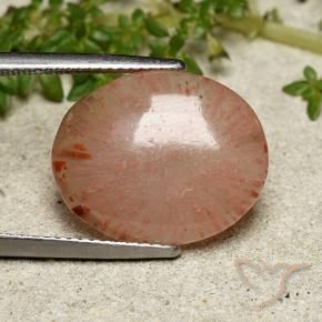 Coral Multicolorido Natural 7.55ct, oval, Translúcido