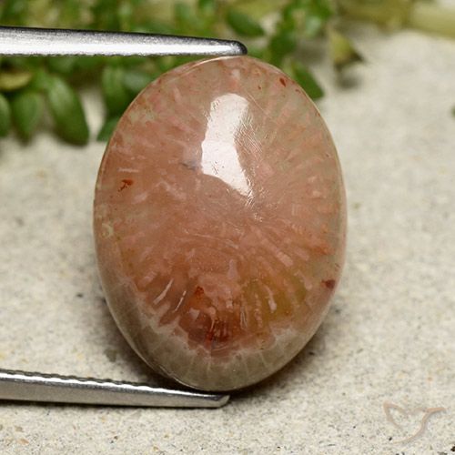 7.64ct Natural Multicolorido Coral, oval, Translúcido
