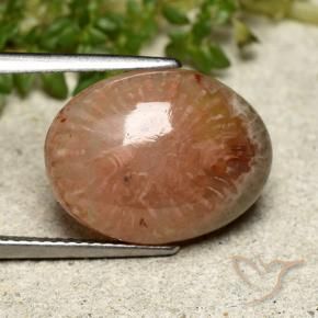 Coral Multicolorido Natural 7.64ct, oval, Translúcido