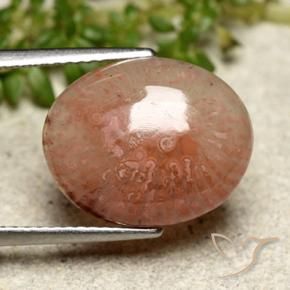 Coral Multicolorido Natural 6.97ct, oval, Translúcido