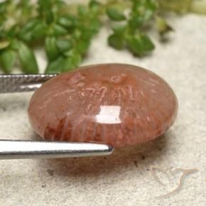 Coral Multicolorido Natural 6.97ct, oval, Translúcido