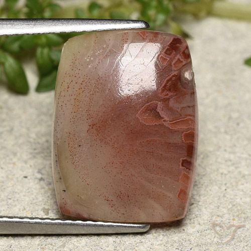 Coral Multicolorido Natural 5.47ct, Almofada cortada, Translúcido