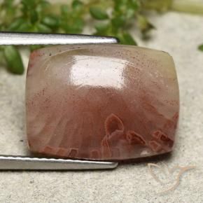 Coral Multicolorido Natural 5.47ct, Almofada cortada, Translúcido