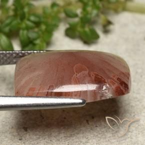 Coral Multicolorido Natural 5.47ct, Almofada cortada, Translúcido