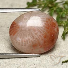 Coral Multicolorido Natural 7.31ct, oval, Translúcido