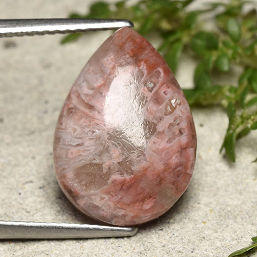 Coral multicolorido natural 5,89ct, formato de pêra, opaco