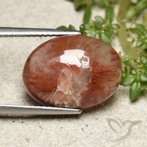 Coral Multicolorido Natural 5.98ct, oval, Translúcido