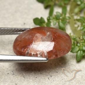 Coral Multicolorido Natural 5.98ct, oval, Translúcido