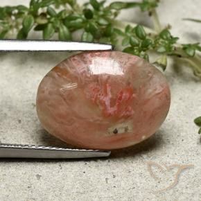 Coral Multicolorido Natural 7.30ct, oval, Translúcido