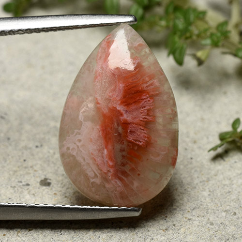 Coral Multicolorido Natural 5.62ct, Formato de pêra, Translúcido