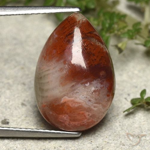 Coral multicolorido natural 7,34ct, formato de pêra, opaco