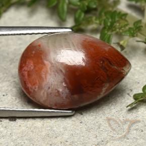 Coral multicolorido natural 7,34ct, formato de pêra, opaco