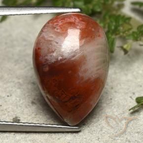 Coral multicolorido natural 7,34ct, formato de pêra, opaco