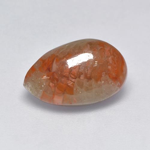 Coral multicolorido natural 3,39ct, formato de pêra, translúcido
