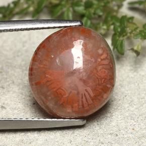 Coral multicolorido natural 7,61ct, forma extravagante, translúcido