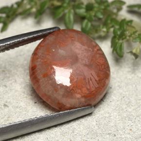 Coral multicolorido natural 7,61ct, forma extravagante, translúcido