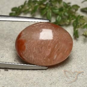Coral Multicolorido Natural 10.75ct, oval, Translúcido