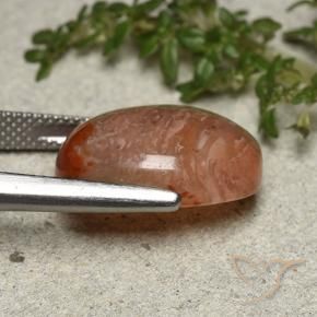 Coral Multicolorido Natural 10.75ct, oval, Translúcido