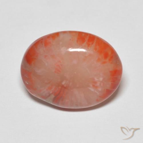 4.60ct Natural Multicolorido Coral, oval, Translúcido