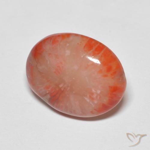 Coral Multicolorido Natural 4.60ct, oval, Translúcido