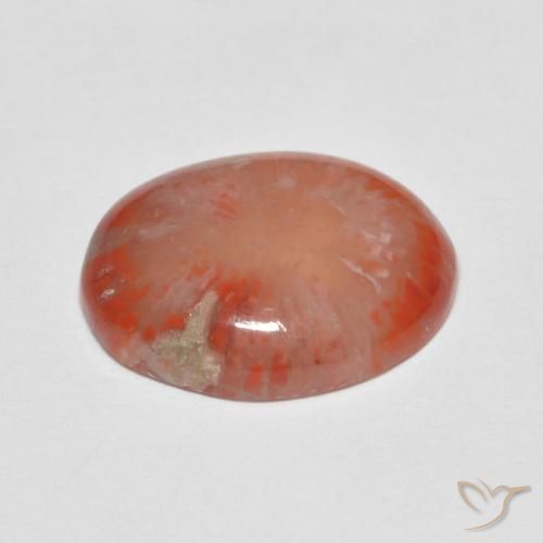 Coral Multicolorido Natural 4.60ct, oval, Translúcido
