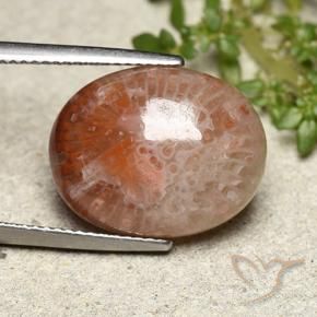 Coral Multicolorido Natural 10.15ct, oval, Translúcido