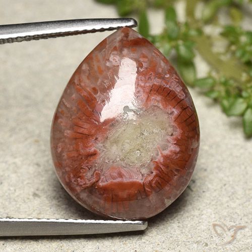 11.90ct Natural Multicolorido Coral, Formato de pêra, Opaco