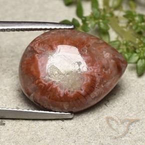 Coral Multicolorido Natural 11.90ct, Formato de pêra, Opaco