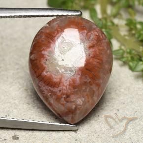 Coral Multicolorido Natural 11.90ct, Formato de pêra, Opaco