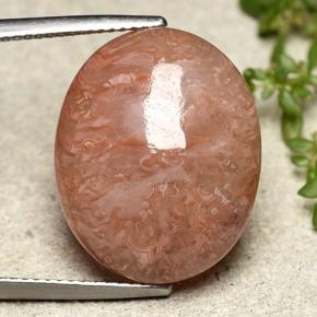 Coral multicolorido natural 16,05ct, corte oval, translúcido