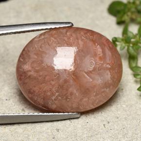 Coral multicolorido natural 16,05ct, corte oval, translúcido