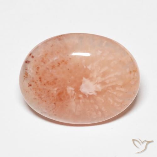 Coral multicolorido natural 9,34ct, corte oval, translúcido