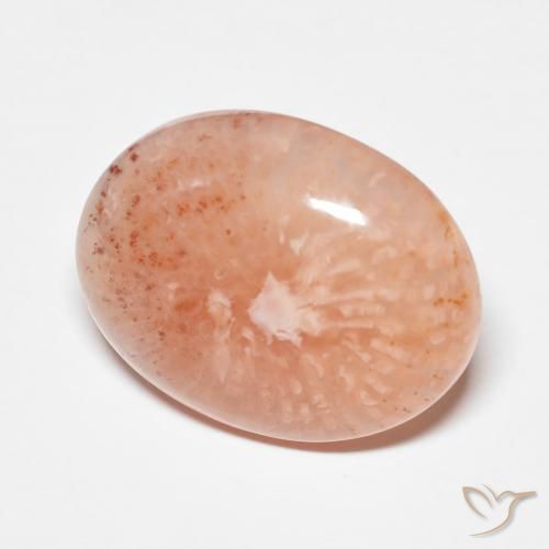 Coral multicolorido natural 9,34ct, corte oval, translúcido
